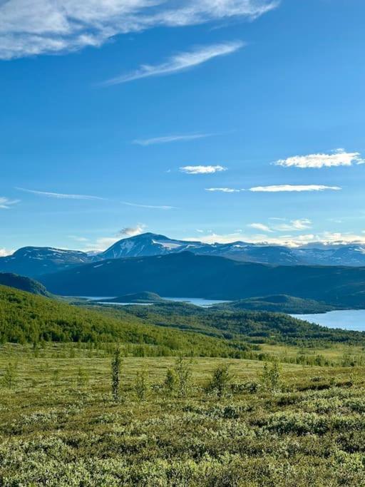 Vila Vaga, Lemonsjoen - Eldorado For Opplevelser Og Ro Randsverk Exteriér fotografie