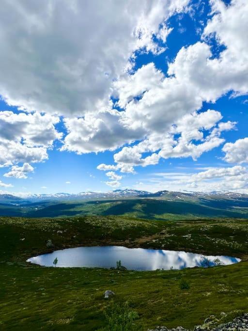 Vila Vaga, Lemonsjoen - Eldorado For Opplevelser Og Ro Randsverk Exteriér fotografie