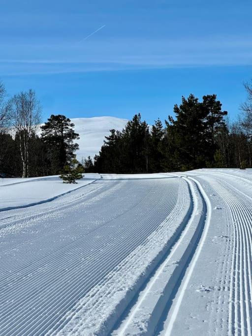 Vila Vaga, Lemonsjoen - Eldorado For Opplevelser Og Ro Randsverk Exteriér fotografie