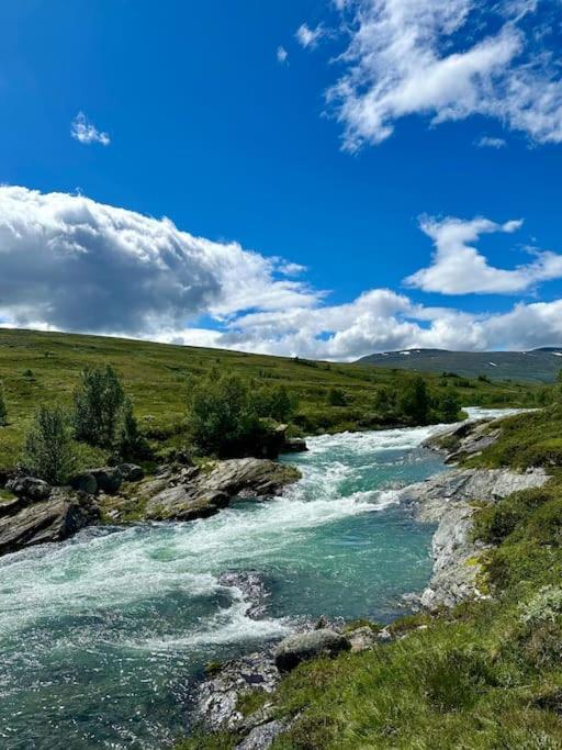 Vila Vaga, Lemonsjoen - Eldorado For Opplevelser Og Ro Randsverk Exteriér fotografie