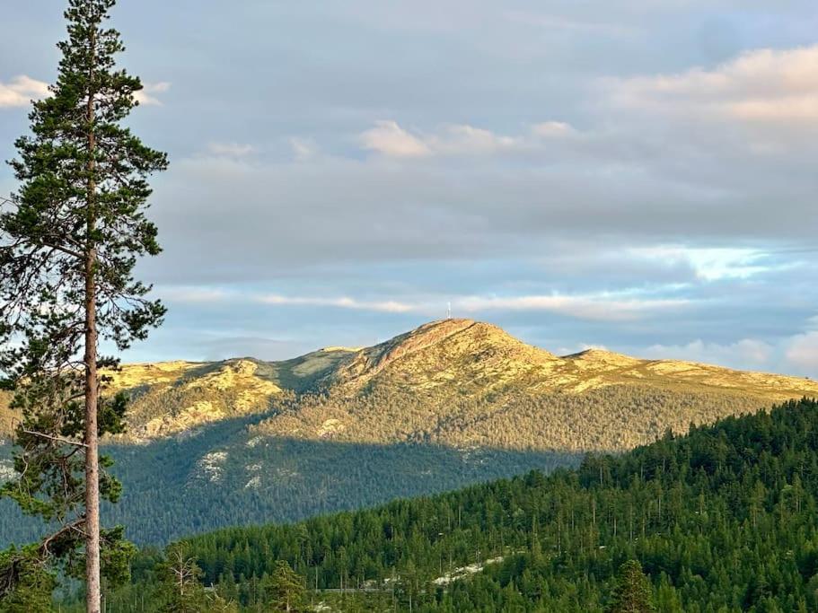 Vila Vaga, Lemonsjoen - Eldorado For Opplevelser Og Ro Randsverk Exteriér fotografie